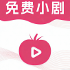 色色软件APP应用